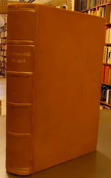La mythologie du Rhin, et les contes de la Mère-Grand'.. [DORE] - SAINTINE (X.-B.)
