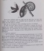 Nature neuch&acirc;teloise. Douze randonn&eacute;es &agrave; travers le canton.. ISCHER (Adolphe) & BRODBECK (E.)