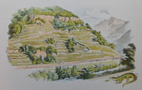 Henri Badoux, Aigle. Album d'un demi-siècle, ou cinquante ans de tradition mis en texte et en images (1908-1958).