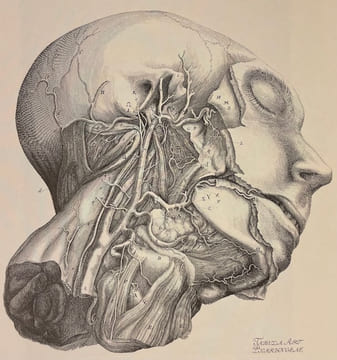 L'illustration anatomique de la renaissance au siècle des Lumières.. MONTMOLLIN (Dominique de ) et al.