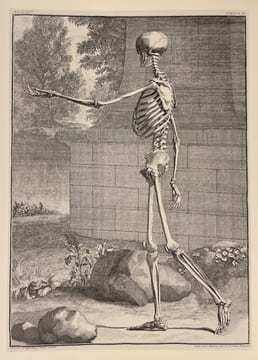 L'illustration anatomique de la renaissance au siècle des Lumières.. MONTMOLLIN (Dominique de ) et al.