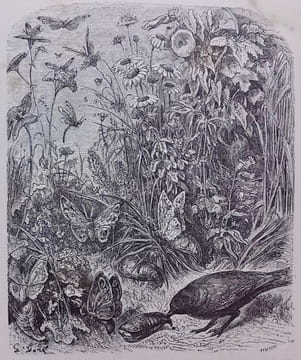 Le chemin des écoliers. promenade de Paris à Marly-le-Roy en suivant les bords du Rhin.. [DORE] - SAINTINE (X.-B.)