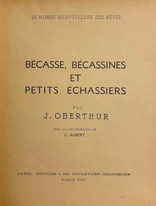 Bécasse, bécassines et petits échassiers.