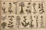 Flore françoise, ou description succinte de toutes les plantes qui croissent naturellement en france.. LAMARCK (Jean-Baptiste de)