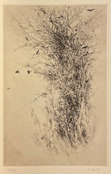 Autres avancées.. TACHE (Pierre-Alain)