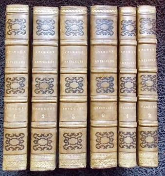 Histoire naturelle des animaux articulés: Histoire naturelle des insectes coléoptères (2 volumes) - Histoire naturelle des insectes orthoptères.... (1 ...