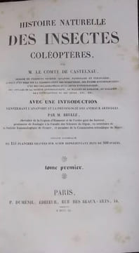 Histoire naturelle des animaux articulés: Histoire naturelle des insectes coléoptères (2 volumes) - Histoire naturelle des insectes orthoptères.... (1 ...