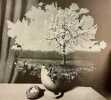 Surrealism in Belgium.. VIEW THE MODERN MAGAZINE [Revue]