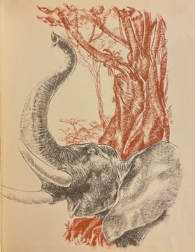 Féli et M'Bala l'éléphant.. MILLE (Pierre)