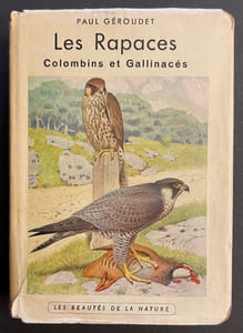 Les rapaces. Les Colombins et les Gallinacés.