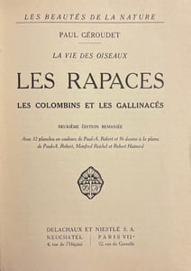 Les rapaces. Les Colombins et les Gallinacés.