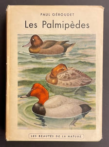 Les palmipèdes.