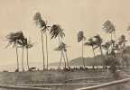 Raiatea la sacrée. Iles sous le vent de Tahiti (Océanie française).. HUGUENIN (Paul)