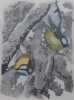 Promenades aux oiseaux.. [HAINARD (Robert)] - GIOVANNA (J.-M.)
