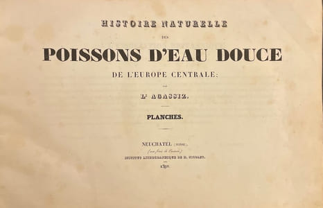 Histoire naturelle des poissons d'eau douce de l'Europe Centrale. Planches [suivi de] Embryologie des Salmones.