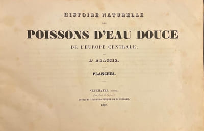 Histoire naturelle des poissons d'eau douce de l'Europe Centrale. Planches [suivi de] Embryologie des Salmones.
