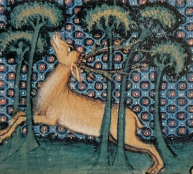 Les fables d'Esope.. ESOPE - LACARRIERE (Jacques)