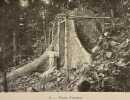 A l'orée de la forêt vierge. Récits et réflexions d'un médecin en Afrique équatoriale.. SCHWEITZER (Albert)