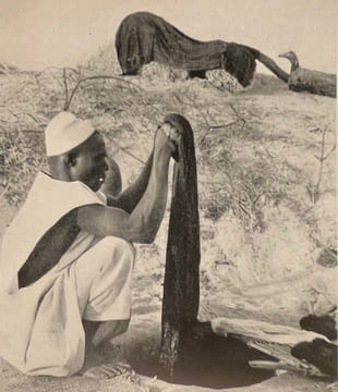 Sur les routes d'Afrique. De la Méditerranée au Congo.. BUHLER (Jean)