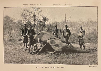 Chasses aux grands fauves, pendant la traversée du continent noir, du Zambèze au Congo Français.