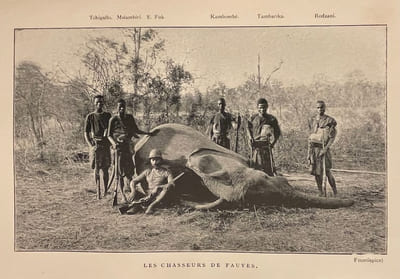 Chasses aux grands fauves, pendant la traversée du continent noir, du Zambèze au Congo Français.