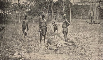 Chasses aux grands fauves, pendant la traversée du continent noir, du Zambèze au Congo Français.