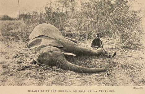 Chasses aux grands fauves, pendant la traversée du continent noir, du Zambèze au Congo Français.. FOA (Edouard)