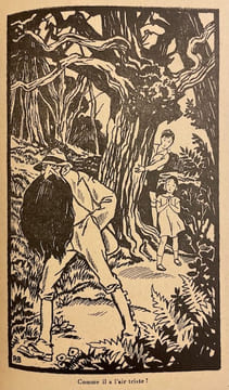 La forêt des aventures, ou Peau d'Àne et Don Quichotte.. LEBLANC (Maurice) & MARICOURT (André de)