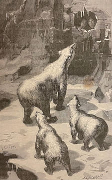 Perdus dans les glaces.. HAYES (Isaac J.)