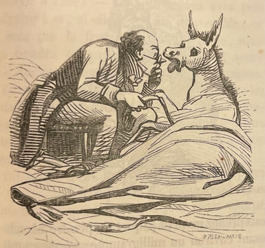 Physiologie du médecin.. HUART (Louis) - TRIMOLET