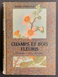 Champs et bois fleuris.