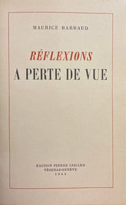 Réflexions à perte de vue.