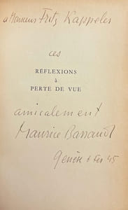 Réflexions à perte de vue.