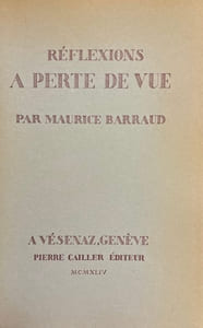 Réflexions à perte de vue.