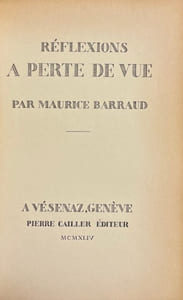 Réflexions à perte de vue.