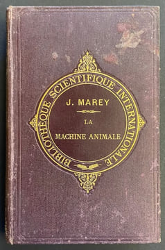 La machine animale. Locomotion terrestre et aérienne.. MAREY (Etienne Jules)