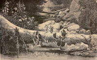Voyage au Brésil.