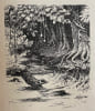 Au Gabon (Afrique &eacute;quatoriale fran&ccedil;aise).. GREBERT (Fernand)