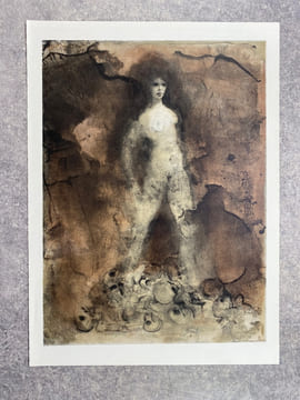 LES FLEURS DU MAL. ILLUSTRATIONS DE LEONOR FINI. . BAUDELAIRE CHARLES. (1821-1867).