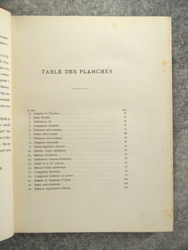 HISTOIRE GENERALE DU COSTUME, CIVIL, RELIGIEUX ET MILITAIRE DU IV° AU XII° SIECLE - OCCIDENT - (315-1100). PAR R. JACQUEMIN PEINTRE-GRAVEUR, AUTEUR DE ...