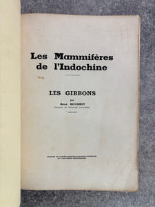 LES MAMMIFERES DE L'INDOCHINE. LES GIBBONS.