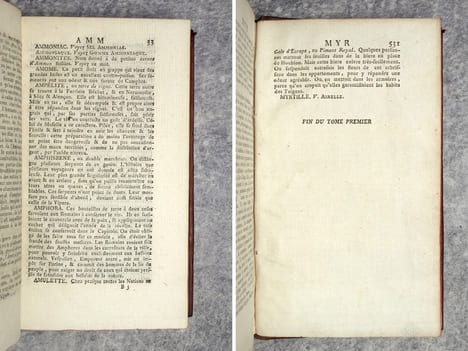 MANUEL DU NATURALISTE. OUVRAGE UTILE AUX VOYAGEURS & A CEUX QUI VISITENT LES CABINETS D’HISTOIRE NATURELLE & DE CURIOSITES, EN FORME DE DICTIONNAIRE, ...