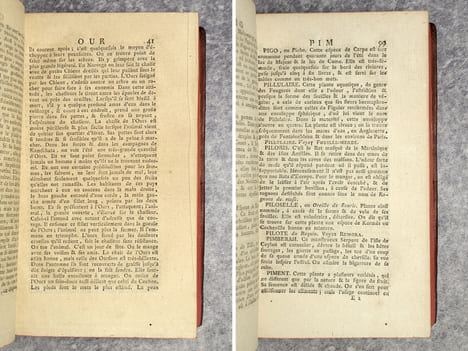 MANUEL DU NATURALISTE. OUVRAGE UTILE AUX VOYAGEURS & A CEUX QUI VISITENT LES CABINETS D’HISTOIRE NATURELLE & DE CURIOSITES, EN FORME DE DICTIONNAIRE, ...