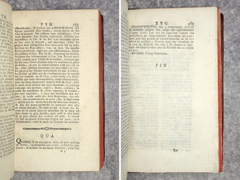 MANUEL DU NATURALISTE. OUVRAGE UTILE AUX VOYAGEURS & A CEUX QUI VISITENT LES CABINETS D’HISTOIRE NATURELLE & DE CURIOSITES, EN FORME DE DICTIONNAIRE, ...