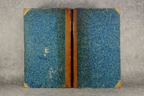 MANUEL DU NATURALISTE, OU DICTIONNAIRE D'HISTOIRE NATURELLE, CONTENANT L'ABREGE DE L'HISTOIRE DES ANIMAUX, DES VEGETAUX, DES MINERAUX, & DES ...
