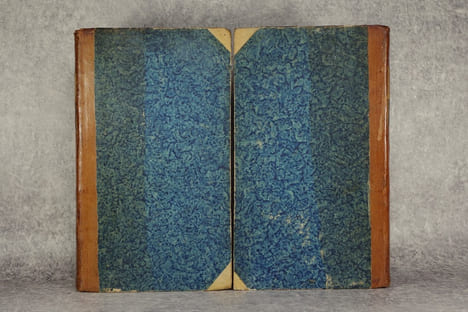 MANUEL DU NATURALISTE, OU DICTIONNAIRE D'HISTOIRE NATURELLE, CONTENANT L'ABREGE DE L'HISTOIRE DES ANIMAUX, DES VEGETAUX, DES MINERAUX, & DES ...