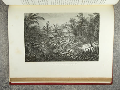 LA GUYANE FRANCAISE, NOTES ET SOUVENIRS D’UN VOYAGE EXECUTE EN 1862-1863 PAR FREDERIC BOUYER, CAPITAINE DE FREGATE. OUVRAGE ILLUSTRE DE TYPES, DE ...