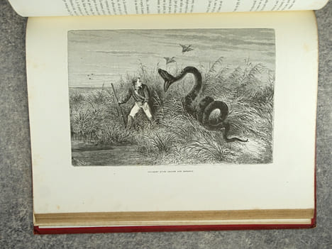 LA GUYANE FRANCAISE, NOTES ET SOUVENIRS D’UN VOYAGE EXECUTE EN 1862-1863 PAR FREDERIC BOUYER, CAPITAINE DE FREGATE. OUVRAGE ILLUSTRE DE TYPES, DE ...