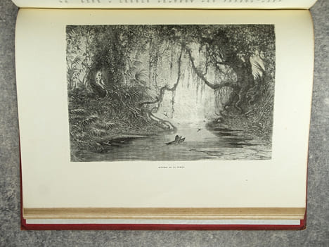 LA GUYANE FRANCAISE, NOTES ET SOUVENIRS D’UN VOYAGE EXECUTE EN 1862-1863 PAR FREDERIC BOUYER, CAPITAINE DE FREGATE. OUVRAGE ILLUSTRE DE TYPES, DE ...