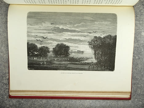 LA GUYANE FRANCAISE, NOTES ET SOUVENIRS D’UN VOYAGE EXECUTE EN 1862-1863 PAR FREDERIC BOUYER, CAPITAINE DE FREGATE. OUVRAGE ILLUSTRE DE TYPES, DE ...